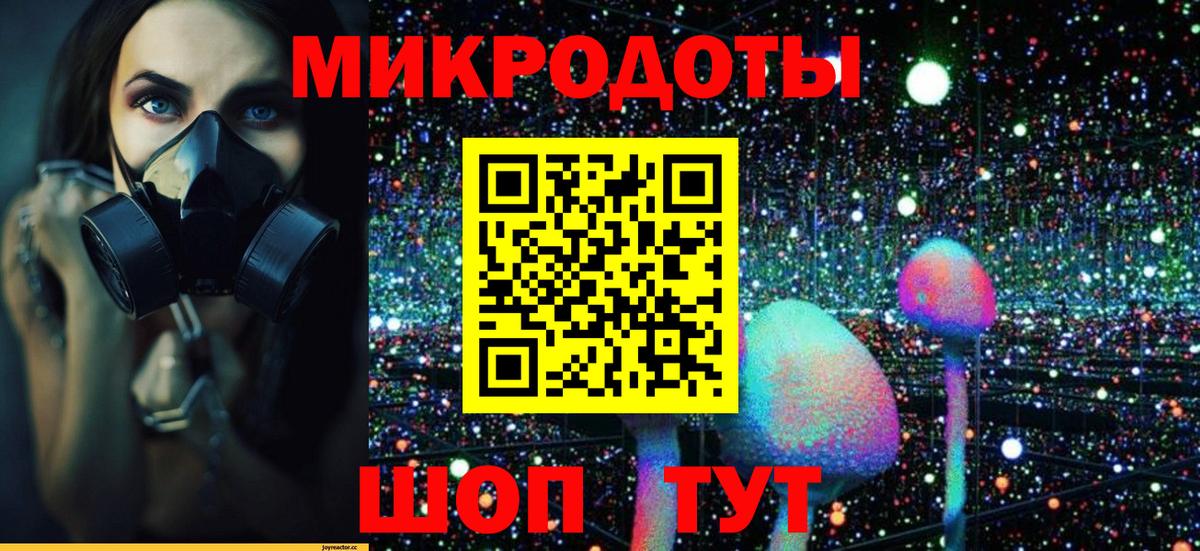 Галлюциногенные грибы мицелий Стрежевой