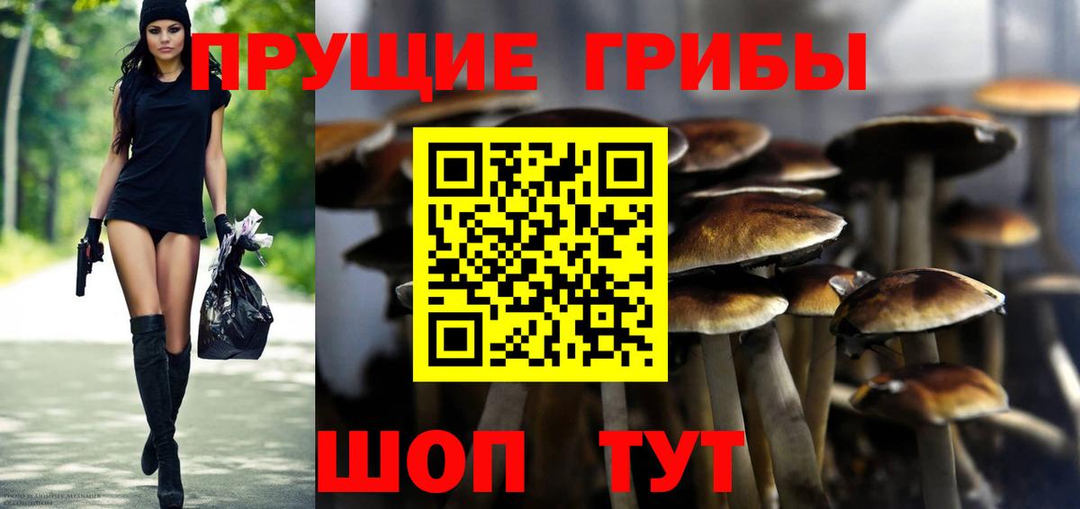 Галлюциногенные грибы Magic Shrooms  Вход с VPN  Стрежевой  Галлюциногенные грибы прущие грибы 